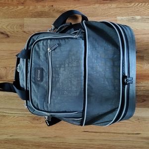 Biaggi gray luggage
